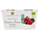 Yogurt Magro ai frutti di Bosco, 2x125 g